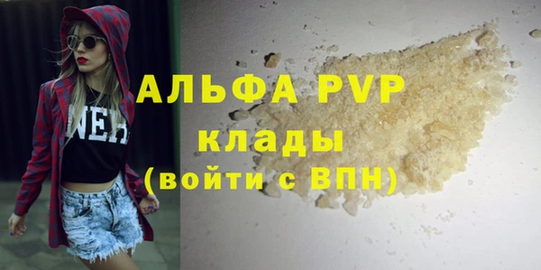 СК Каменногорск