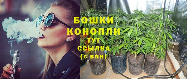 СК Каменногорск