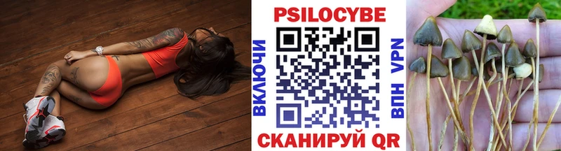 Купить  Тулун  Псилоцибиновые грибы Magic Shrooms 