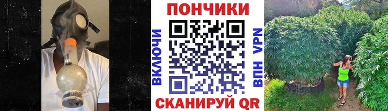 Купить закладки  Тулун  Бошки Шишки семена 